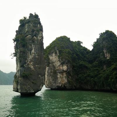 出道拜托了测试版下载